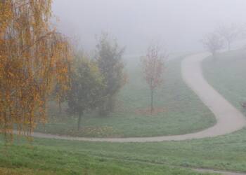 2020.11.01. LUBLIN . MGLA W DZIEN WSZYSTKICH SWIETYCH . FOT. PIOTR MICHALSKI