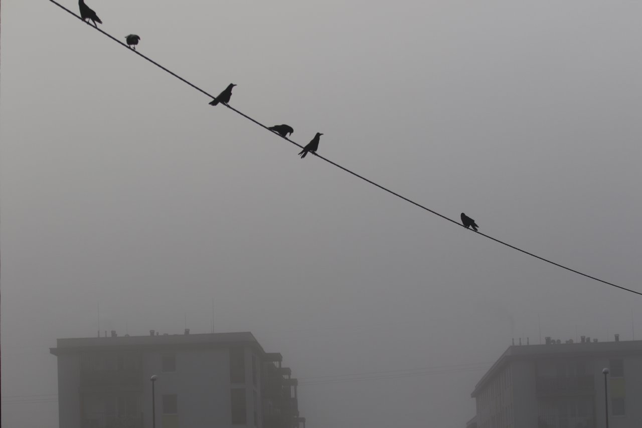 Nad region nadciągną gęste mgły. Sprawdź kiedy 2 pm_MGLA-251020-006.jpg