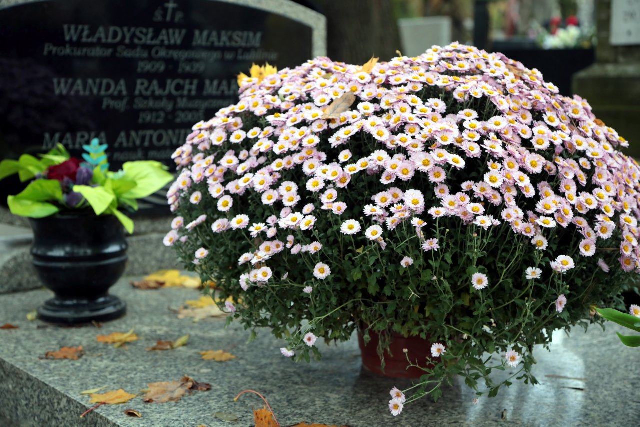 Wiązanki i znicze nie są najważniejsze. Pamiętajmy o modlitwie za zmarłych! 2 pm_WSZYSTKICHSWIETYCH-011123-015.jpg