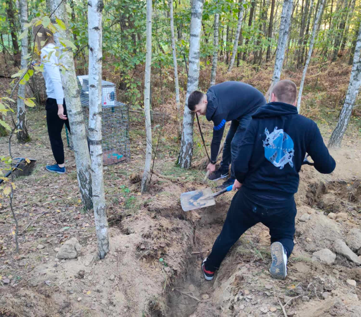 Kto zapłaci? Spór o opiekę nad bezdomną suką i szczeniętami 3 szczenieta 4.jpg