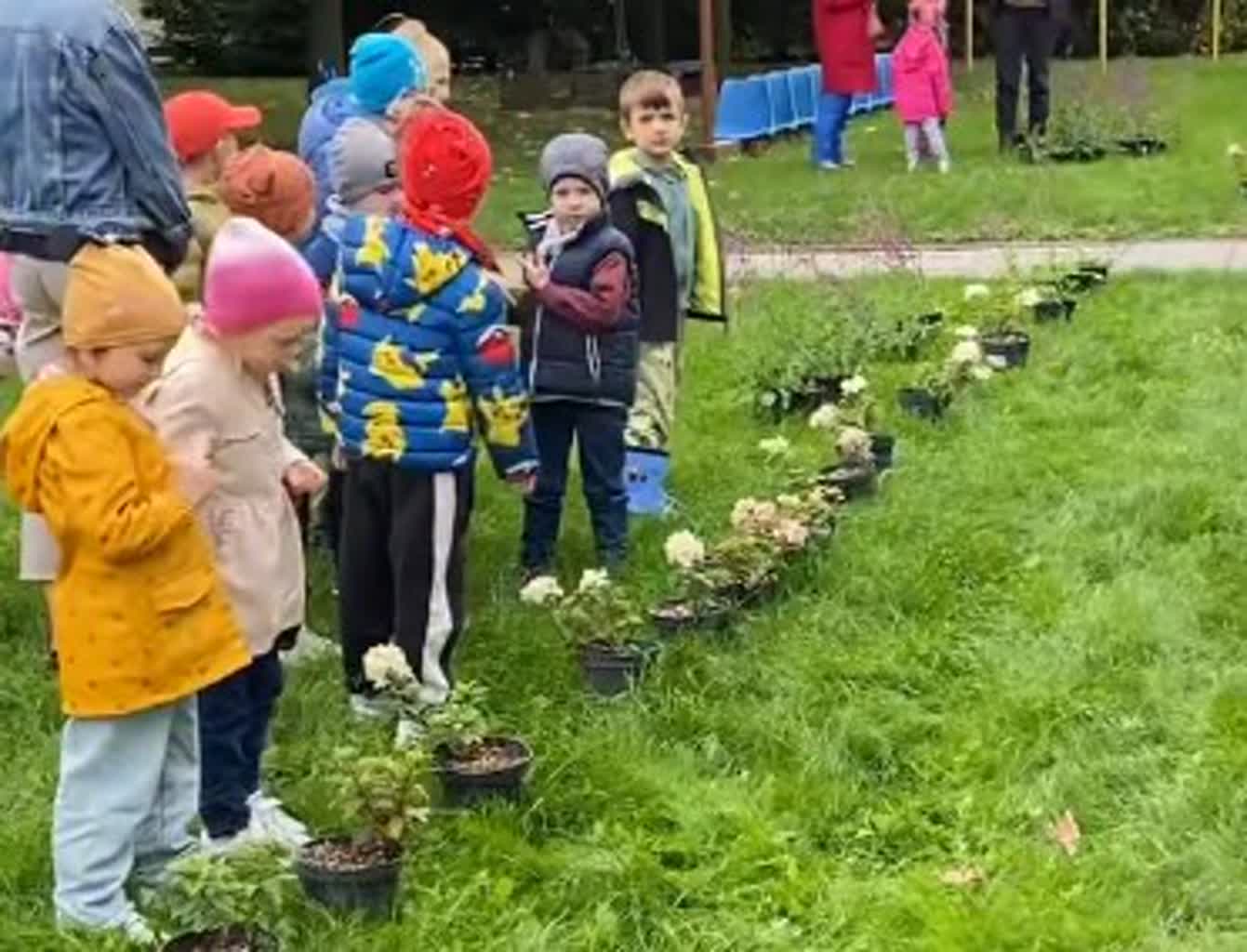 Zielone płuca dla miasta. Przedszkolaki posadziły kilkaset drzew 2 zdj2.jpg