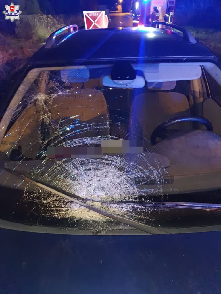 Wypadek w powiecie biłgorajskim. Nie żyje 72-latka 2 68-255041.jpg