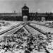 25.11.2024 W drewniakach przez świat 10 bundesarchiv b 285 bild 04413 kz auschwitz einfahrt 2024 11 25 085255