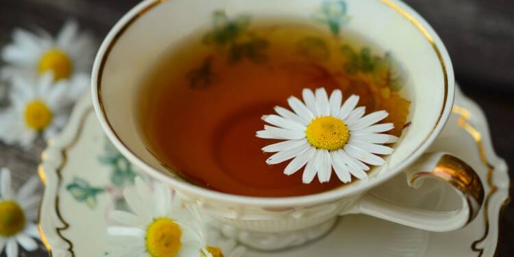 chamomile 829538 960 720 2024 11 19 074402