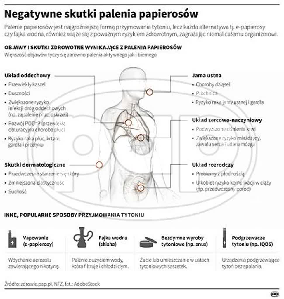 Jak pożegnać się z nałogiem? Dziś Światowy Dzień Rzucania Palenia Tytoniu 2 igrafika_20241120_04.jpg