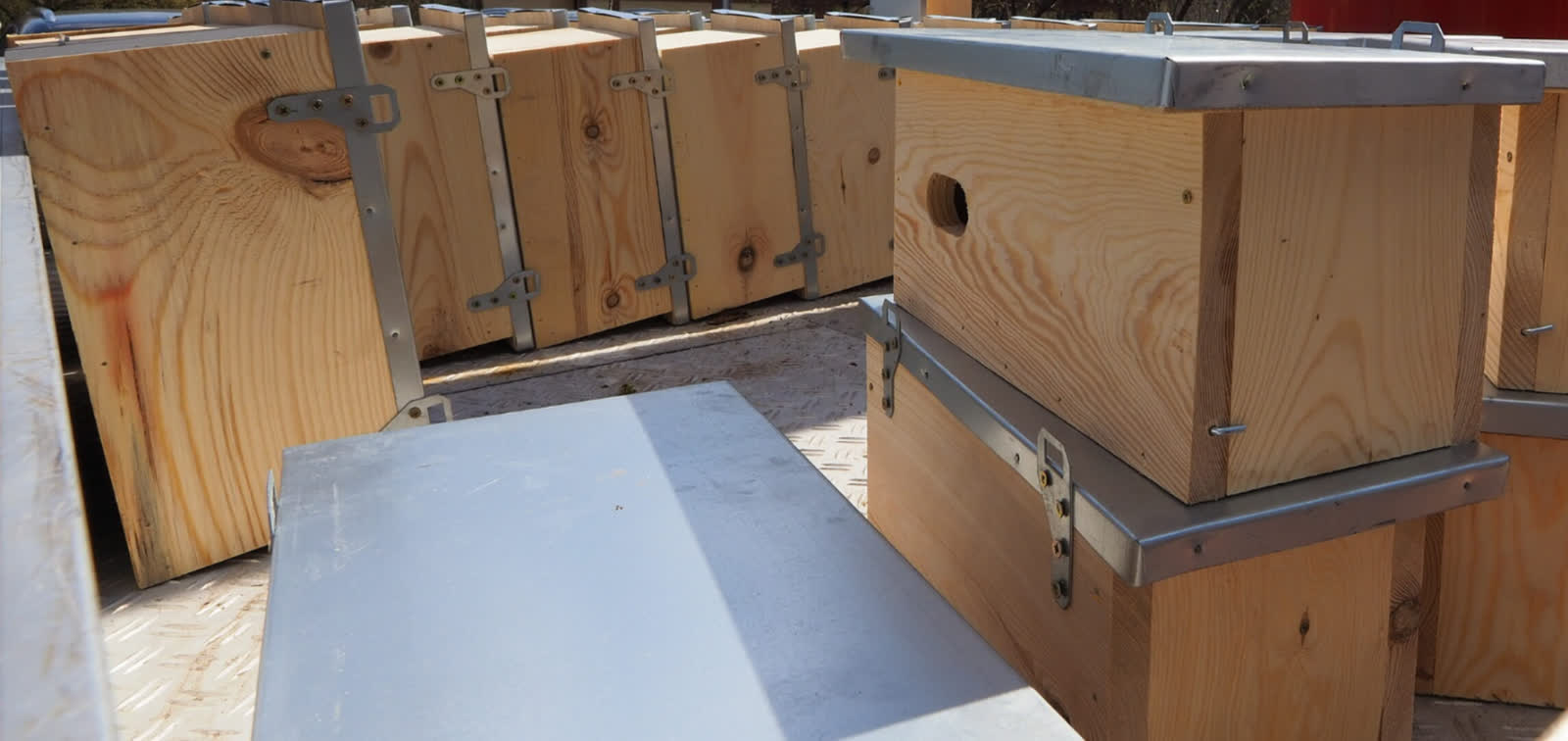 "Ptasie mieszkania" w lubelskich lasach. Leśnicy rozwieszają budki lęgowe 3 img_20210419_175808-2021-04-19-182910-2021-04-25-174832.jpg