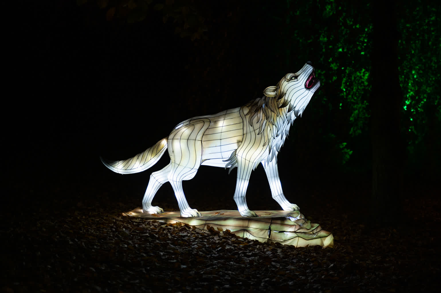 „Laboratorium światła" w Ogrodzie Botanicznym. Dziś otwarcie 2 KRA25.jpg