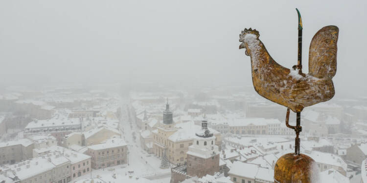 miasto gotowe na zime fot. miasto lublin 2024 11 13 152819