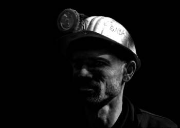 miner 1903622 1280 2024 11 29 134453