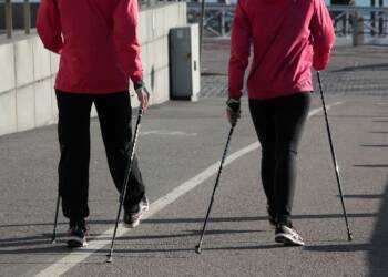 nordic walking 1369306 1280 2024 11 07 173102