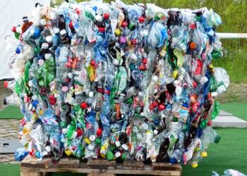 plastic bottles 115069 640 2024 11 14 172430