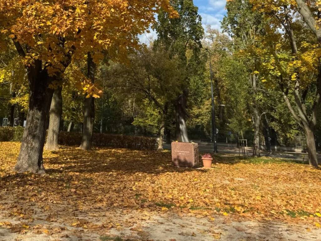 skwer arcybiskupa zycinskiego 2024 11 13 200734