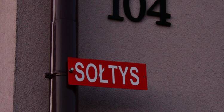 soltys1 2024 11 22 212353