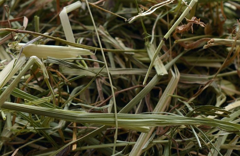 Dzisiaj Wigilia! W Polsce obchodzimy ją od XVIII wieku 3 003.jpg