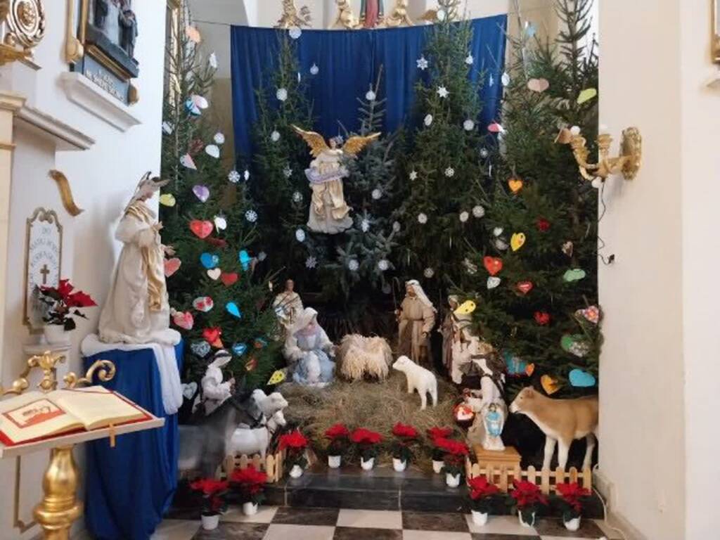 Jest ich ponad setka. Gwiazdy betlejemskie zdobią bazylikę w Lubelskiem 2 467474765 1104264187559188 6917688694334787549 n 2024 12 26 161314