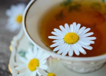 chamomile 829487 1280 2024 12 01 165211