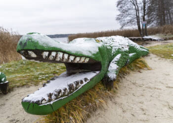 dsc01017 2024 12 11 232523