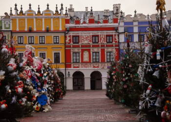 dsc04334 2024 12 11 153718