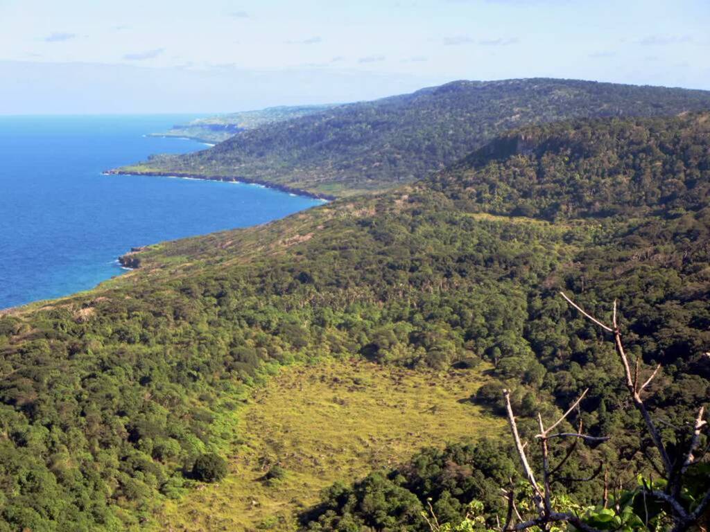 east coast of christmas island 24935368013 2024 12 25 193532