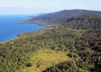 east coast of christmas island 24935368013 2024 12 25 193532