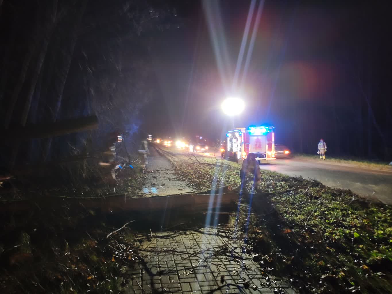 Drzewo przewróciło się na busa. Utrudnienia w Chełmie 2 IMG-20241222-WA0005.jpg