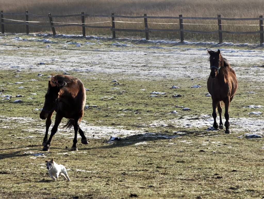 img 9434 2024 12 26 201258