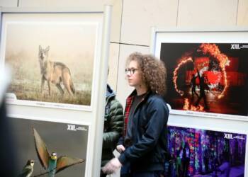 pm konkurs 101224 001 2024 12 10 150742