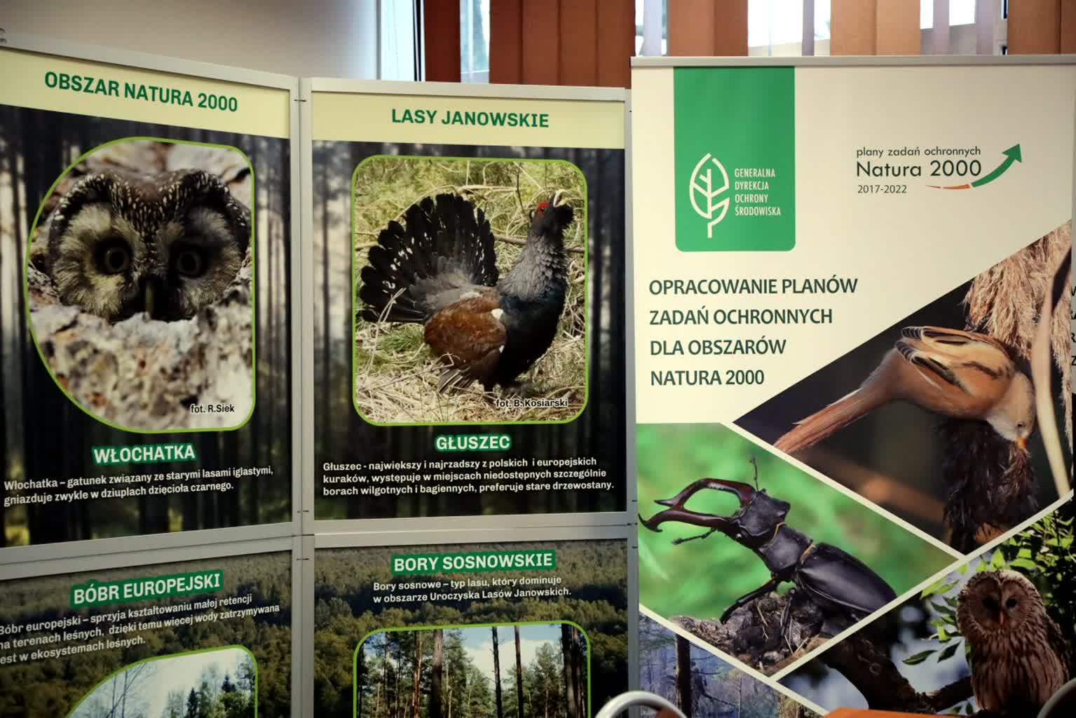 Lubelskie zyskało kolejne rezerwaty przyrody 2 pm_LASY-041224-006.jpg