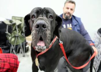 pm psy 071224 028 2024 12 08 010344