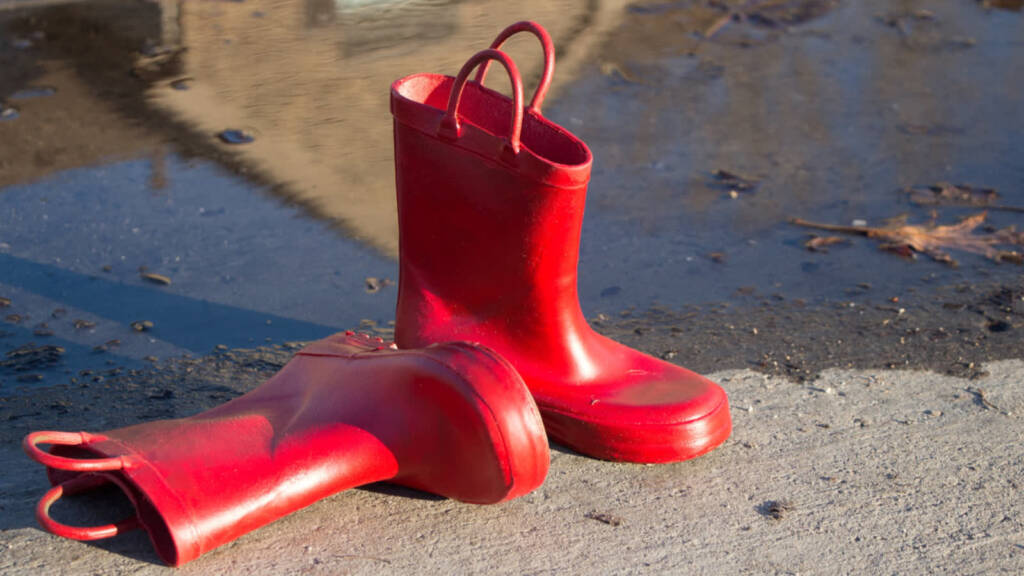 rainboots 4574933 1920 2024 12 28 203125