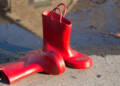 rainboots 4574933 1920 2024 12 28 203125