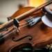 violin 5709254 1280 2024 12 12 184717