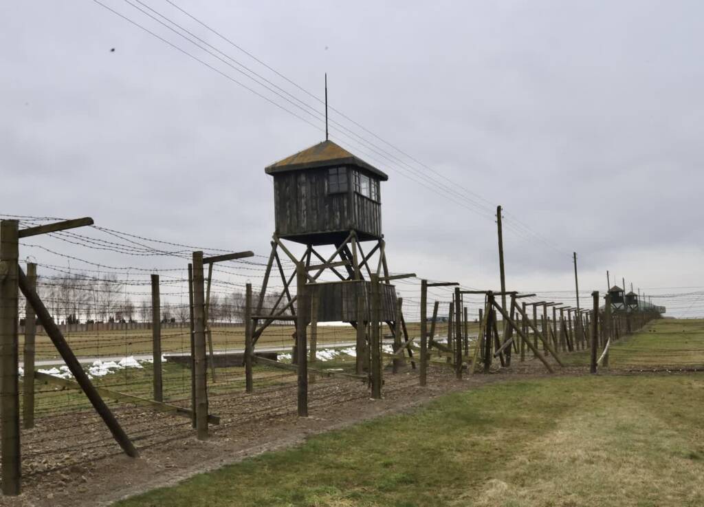 169c1b41 8841 447e 9546 212c19c21b75 2025 01 25 114237