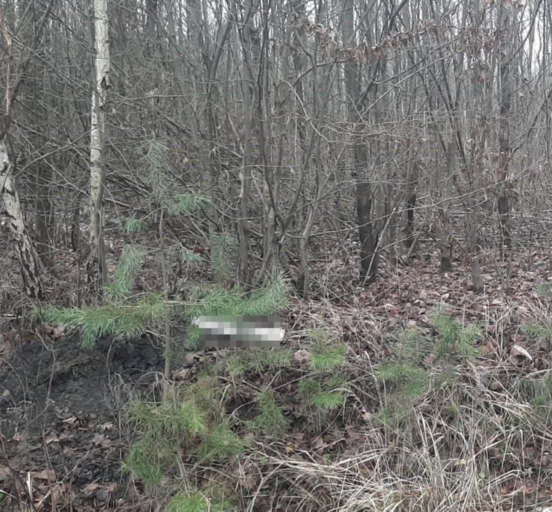 Ukradł tablice rejestracyjne i paliwo. 38-latkowi grozi 5 lat pozbawienia wolności 3 343-258132.jpg