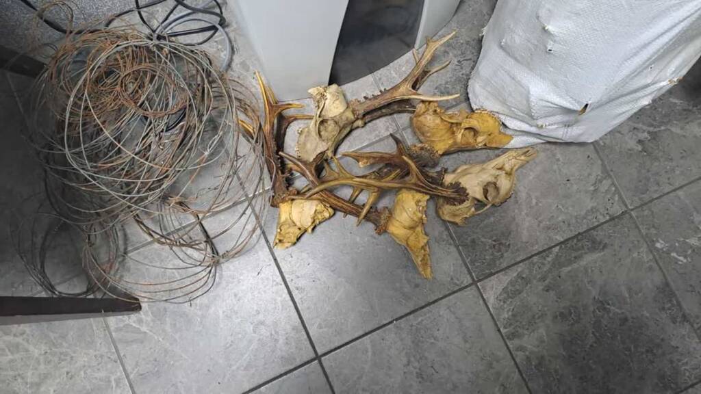 353 258828 2025 01 19 123504