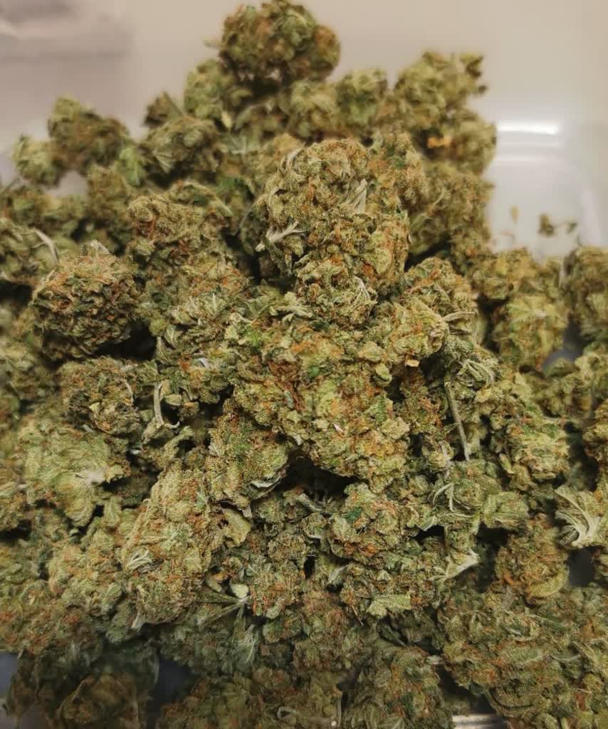 Z jego auta unosił się charakterystyczny zapach. 26-latek usłyszał zarzuty 2 359-258399.jpg