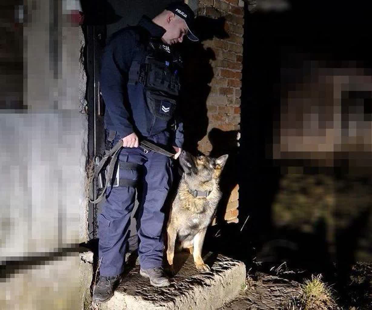 Spowodował kolizję i uciekł! Pijanego kierowcę wytropił pies "Tolo" 2 475079695_535731549488850_7440643541270772529_n.jpg