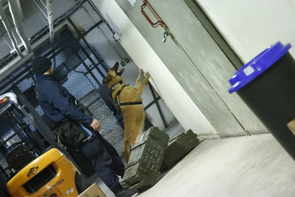 68 259608 g 2025 01 30 092731