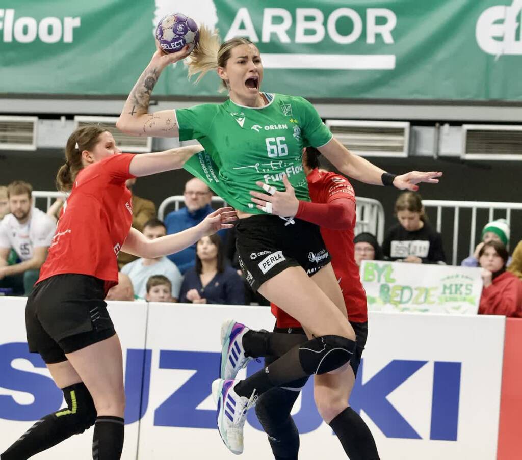 6k3d9581 2025 01 29 130430