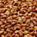 buckwheat 3478557 1280 2023 09 23 111932 750x375 2025 01 11 114453