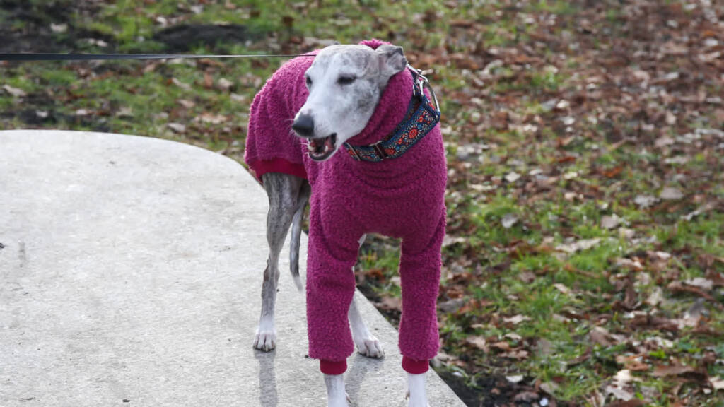 chart 1 2025 01 26 145752