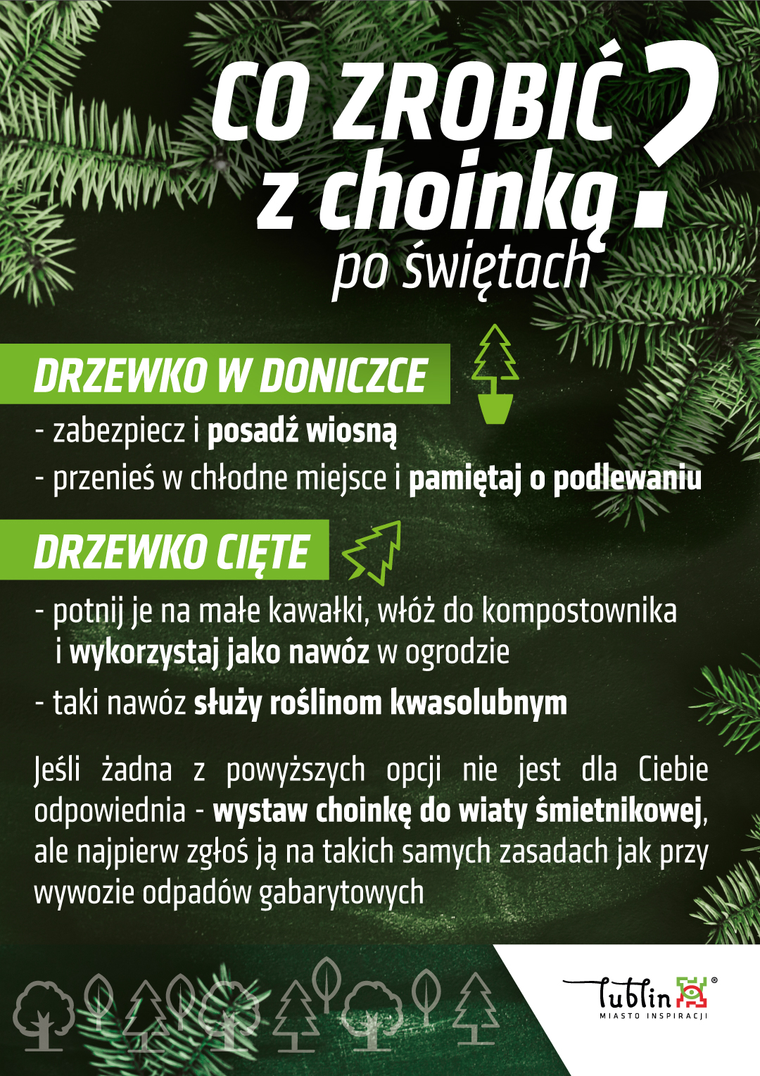 Co zrobić z choinką po świętach? 2 Drugie-życie-choinki-1080x1528.jpg