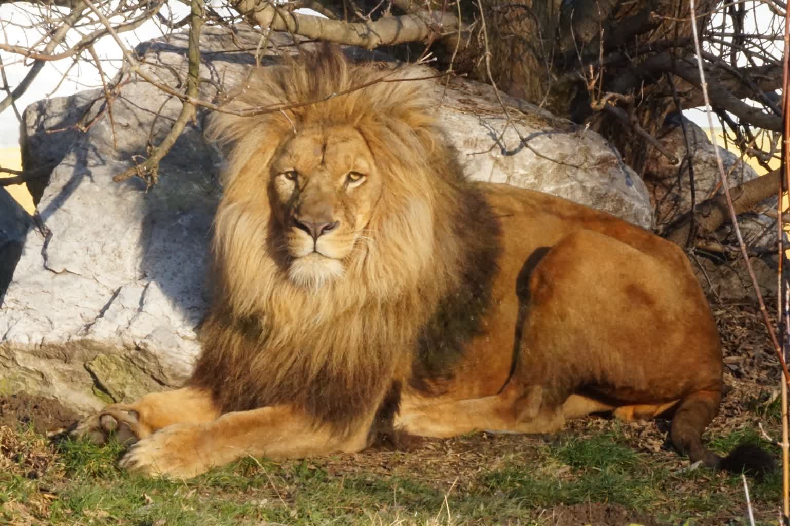 2024 rok w liczbach. Zamojskie zoo podsumowało frekwencję 3 DSC05382.JPG