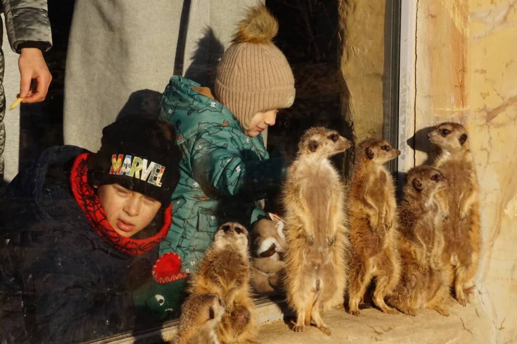 dsc05421 2025 01 17 070248