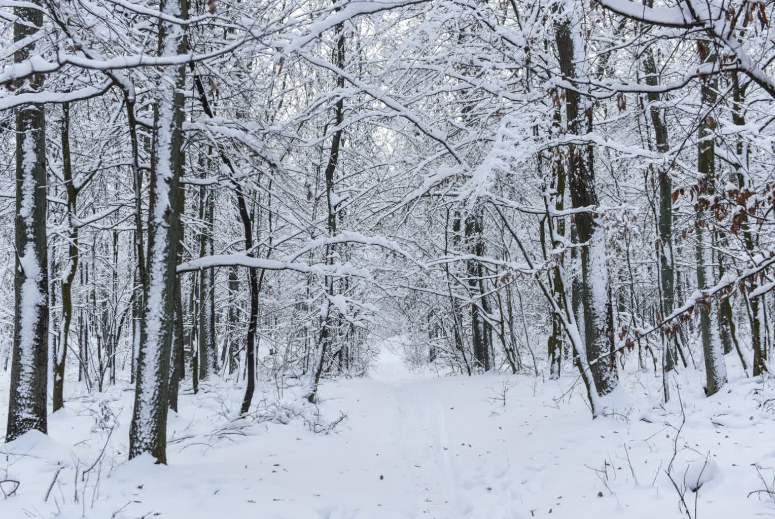 Synoptyk IMGW: Na początek weekendu śnieg w całym kraju 2 DSC_0116.JPG