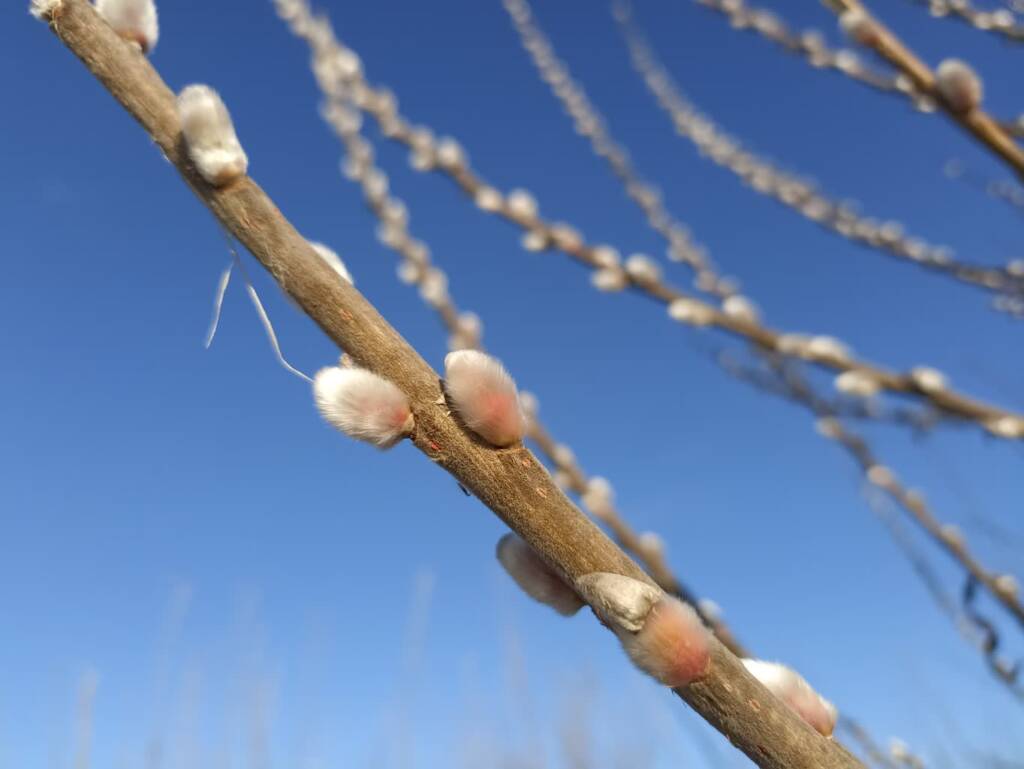 img 20250131 135357 2025 01 31 145844