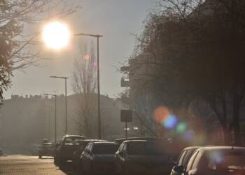 img 2147 2025 01 20 180451