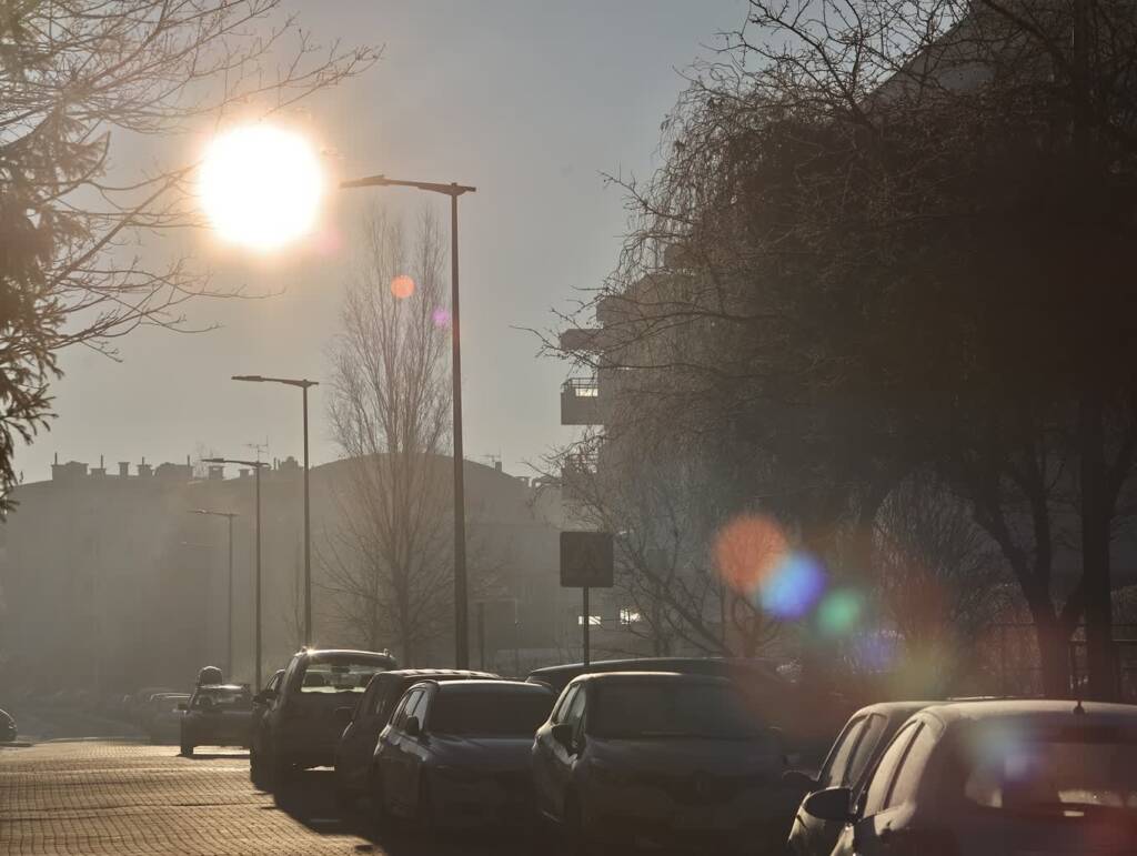 img 2147 2025 01 22 181006