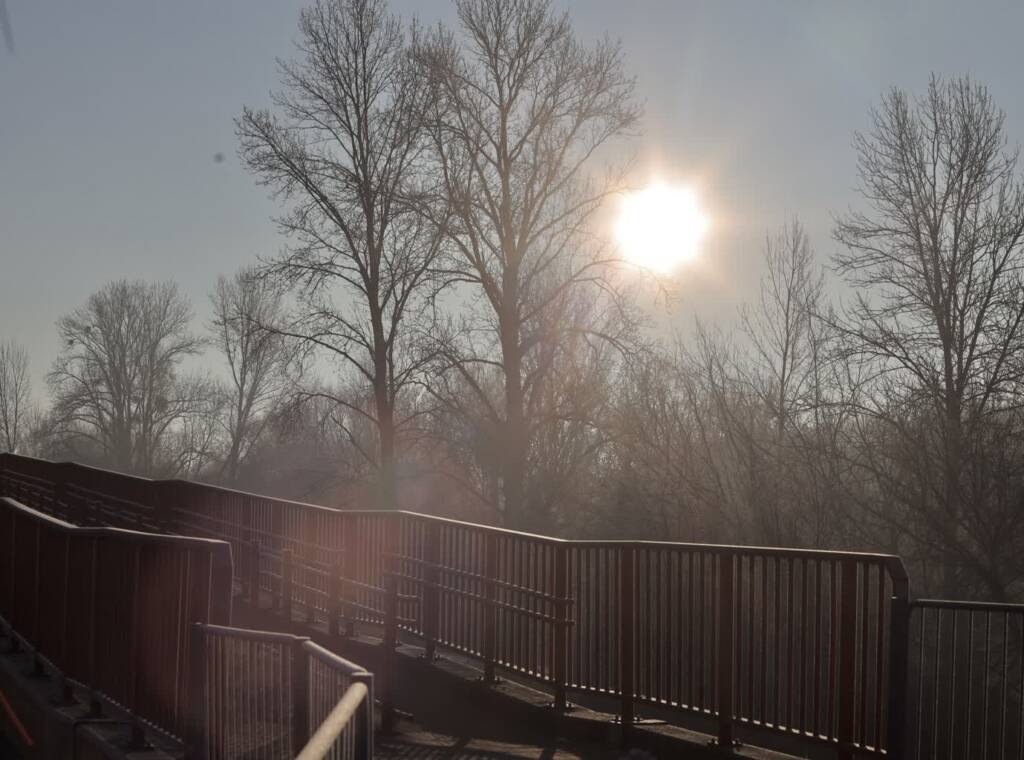 img 2206 2025 01 22 180327