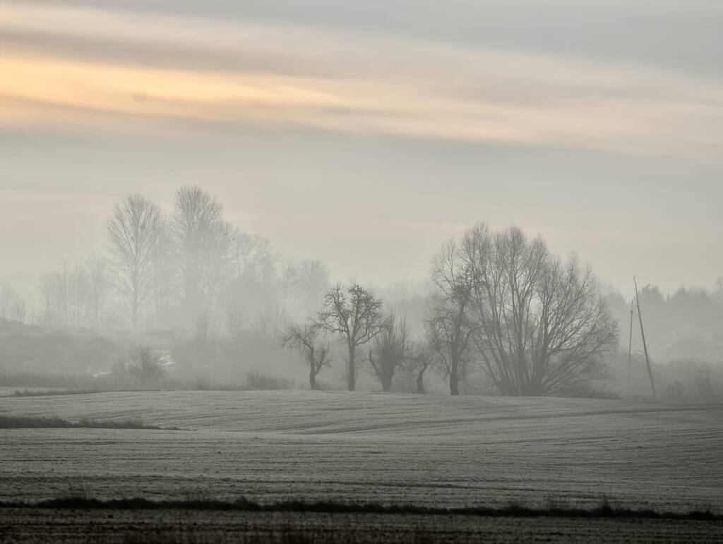 img 2536 2025 01 21 111739